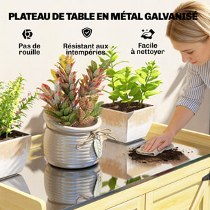 Armoire de jardin bois 2 portes étagère espace rempotage acier galvanisé