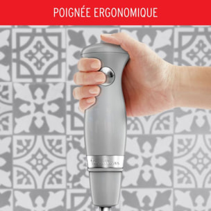 Mixeur MOULINEX soleil pepper DD471E10