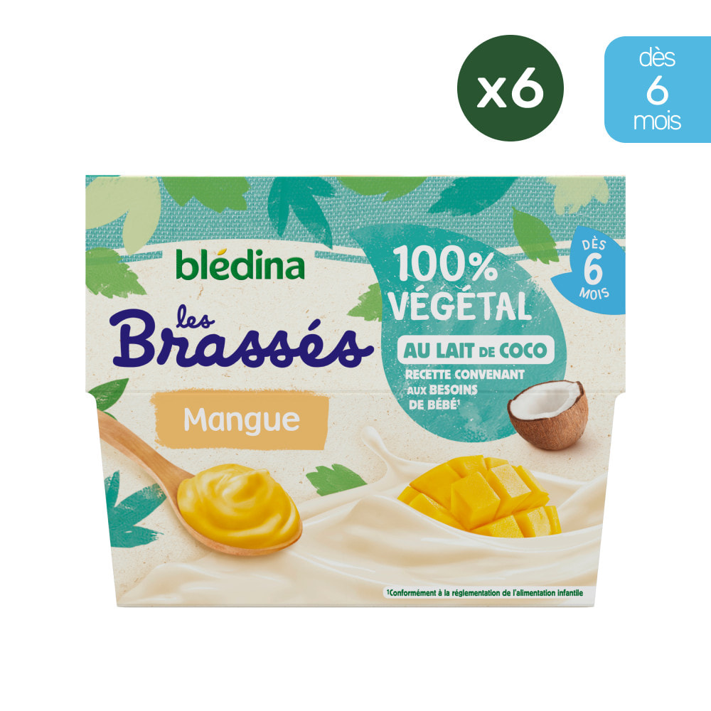 24 Brassés Mangue, Lait de Coco 6x(4x95g) - Les Brassés Dès 6 Mois