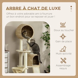 Arbre à chat style cosy chic griffoirs grattoir sisal 2 grandes niches plateforme hamac peluche courte beige jacinthe d'eau