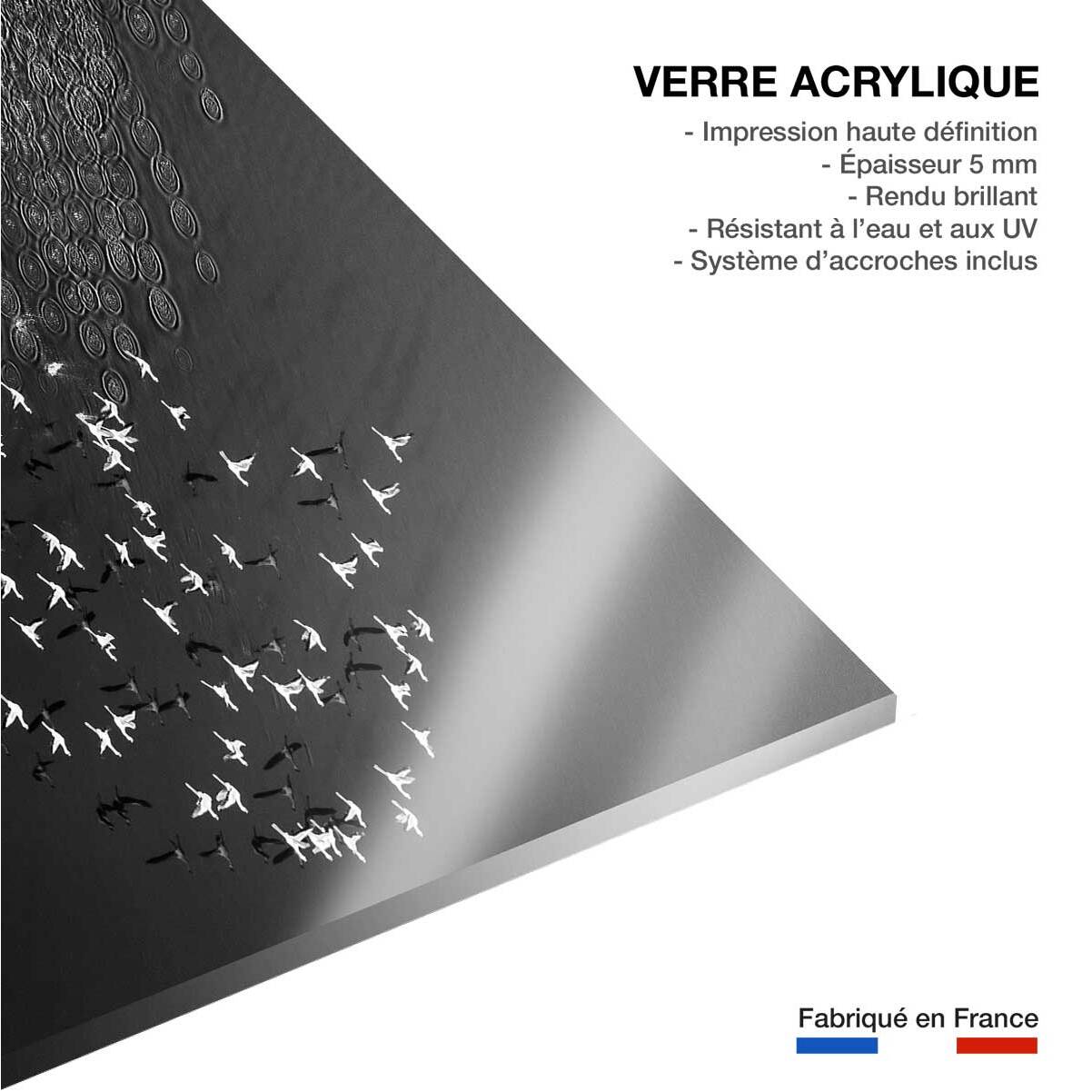 Tableau Take off Tableau plexiglas