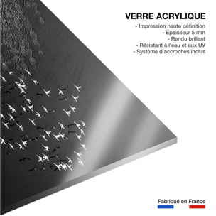 Tableau Take off Tableau plexiglas