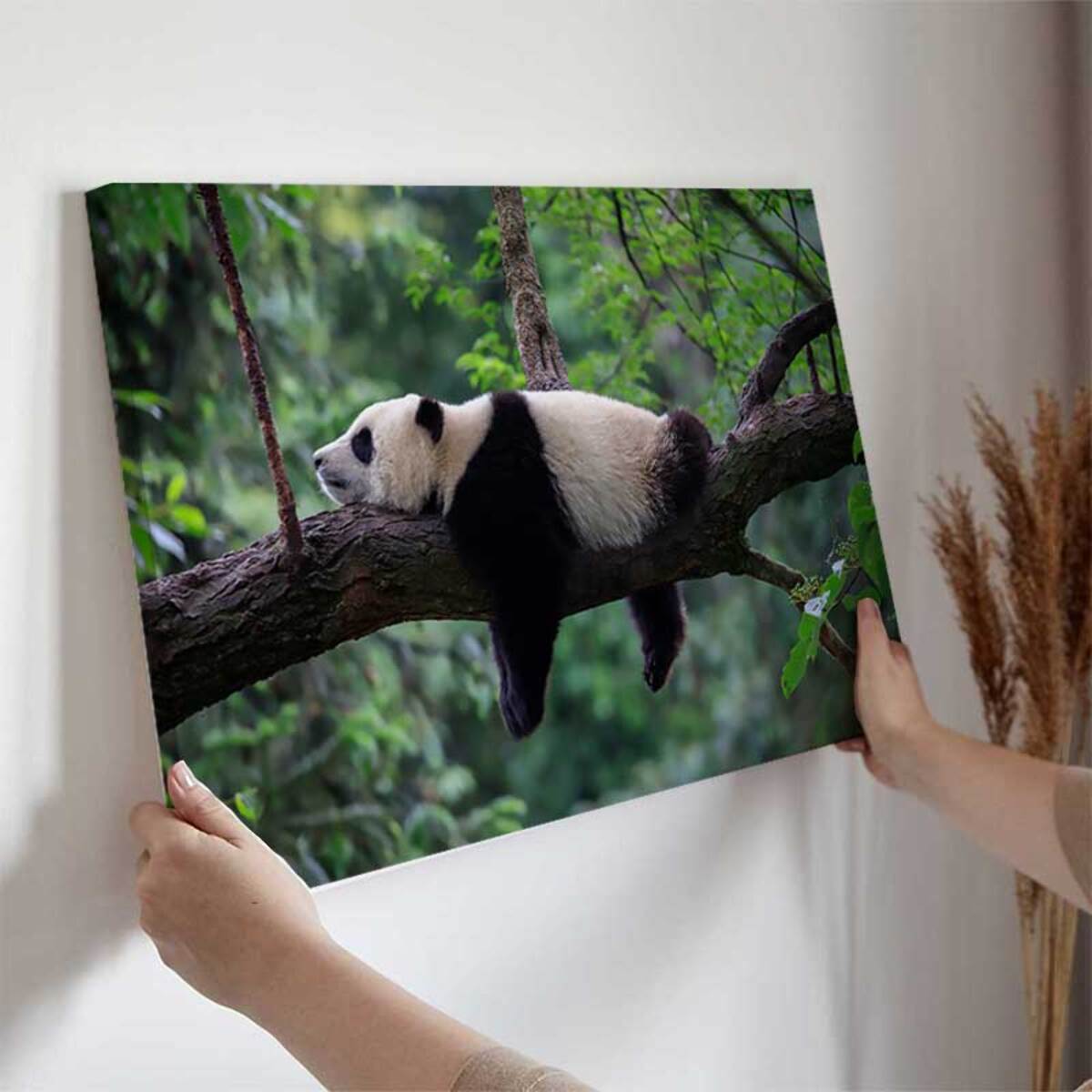 Tableau panda reposant dans la forêt Toile imprimée