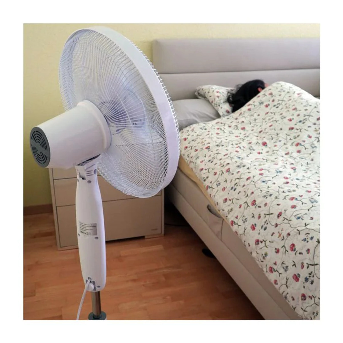 Ventilateur sur pied silencieux Rotel