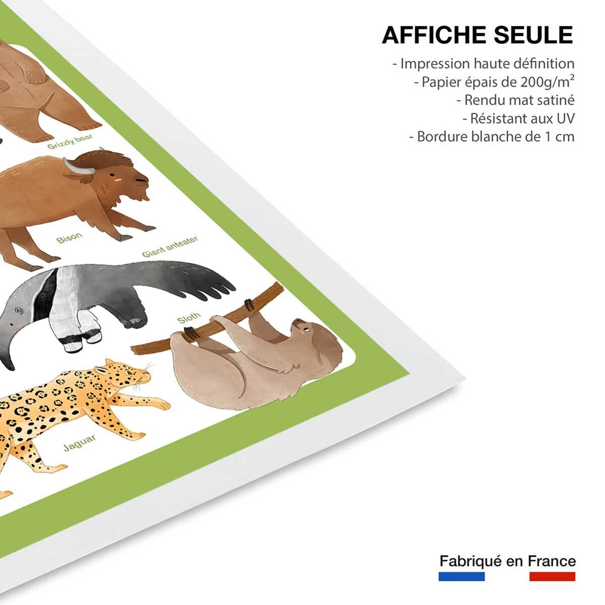 Affiche enfant animaux d'amérique  Affiche seule