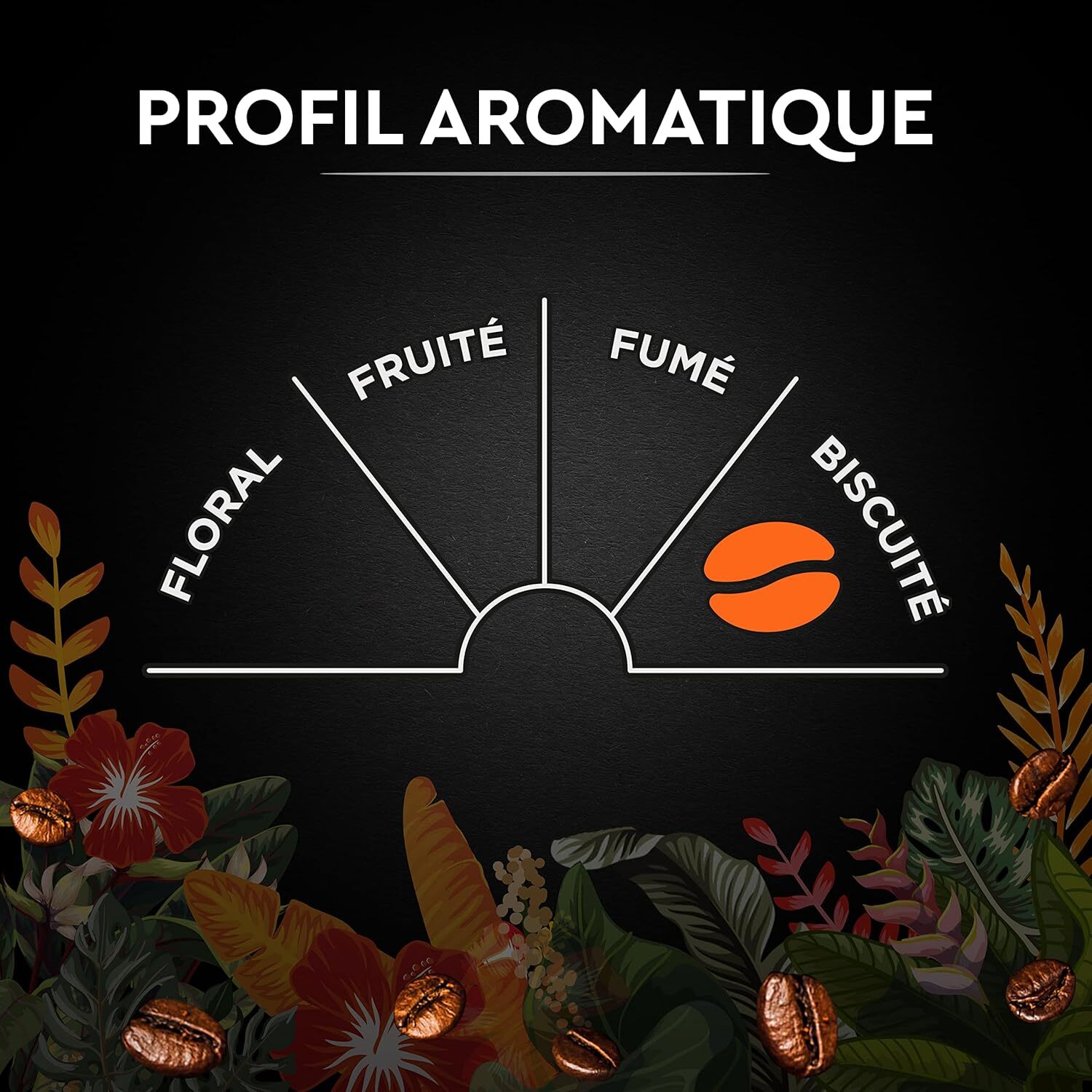 Grains Secret de Nature 2 Catuai 1 KG