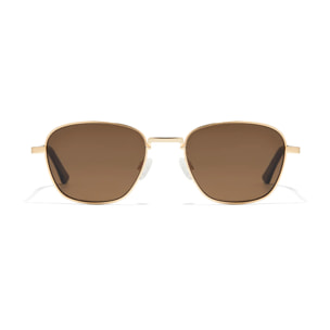 Gafas De Sol D. Franklin Quad Legacy
