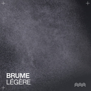 Styling Hybrid Curl Stylers - Brume Revitalisante Boucles 250 ml