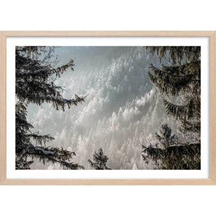 Affiche paysage forest in fog drama Affiche + cadre en bois - Chêne