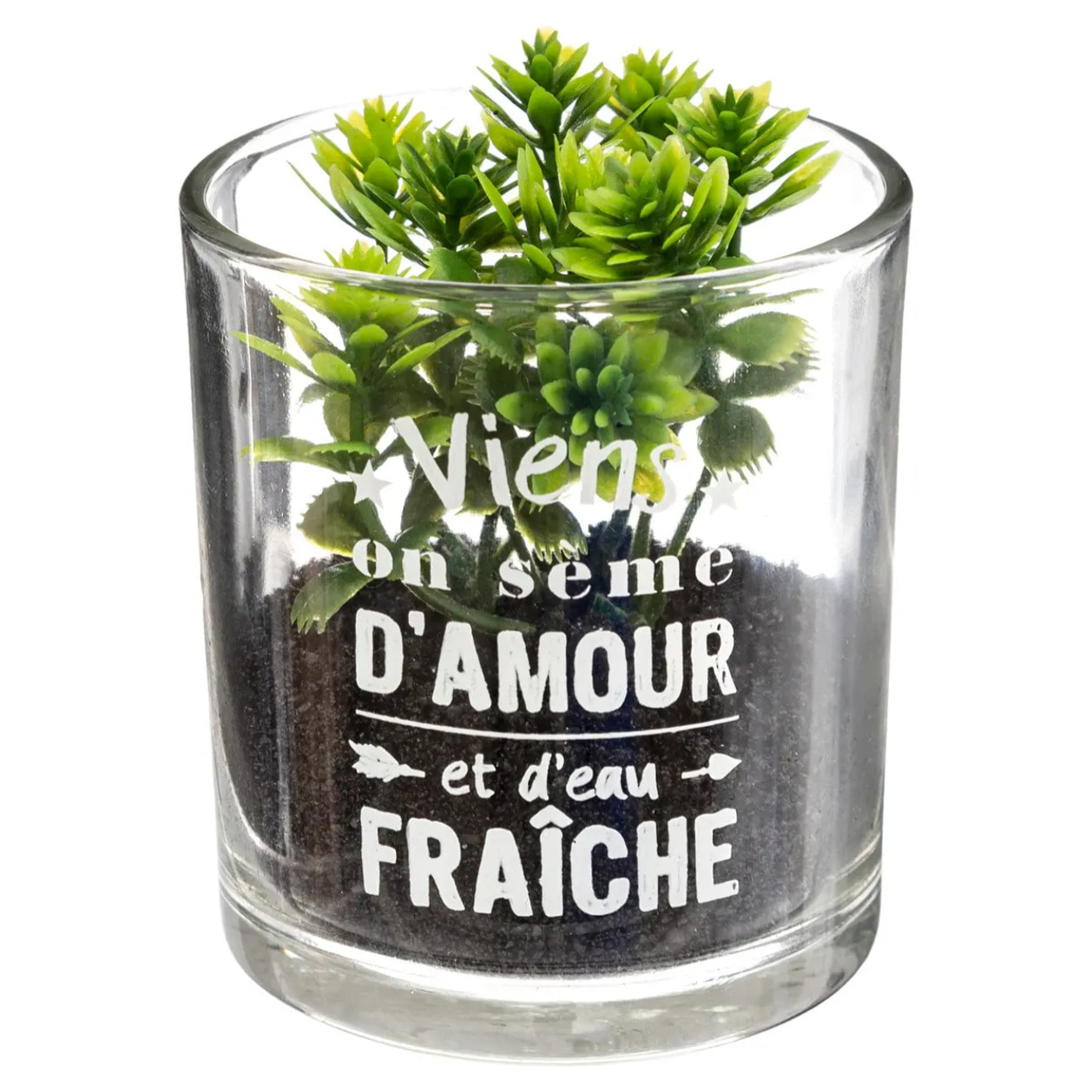 Plante artificielle "Message" - pot en verre - H8 cm