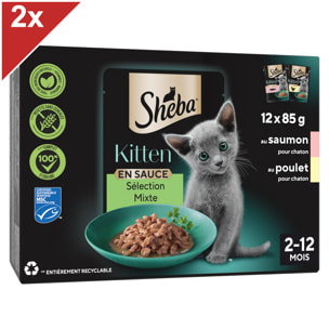 SHEBA Kitten 24 sachets fraîcheur en sauce poulet saumon pour chaton 85g (2x12)