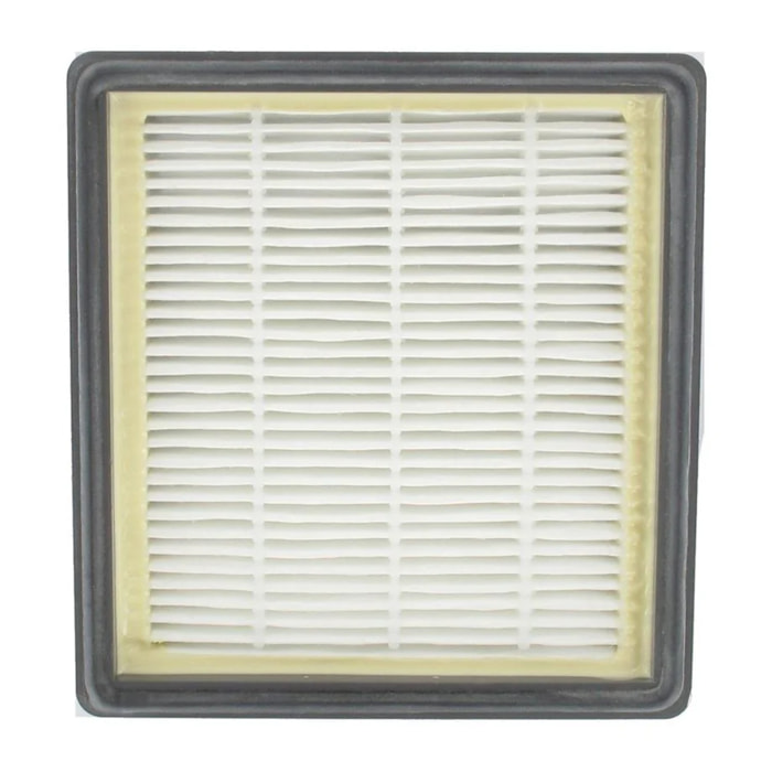 Filtre hepa aspirateur Tornado TopFilter