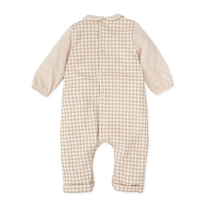 PELELE SIN PIE ARENA - Arena