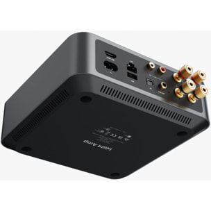 Amplificateur HiFi WIIM amp space grey
