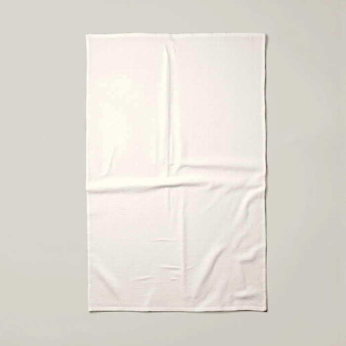 Lot de 2 torchons de cuisine 100% coton Uni Naturel 102