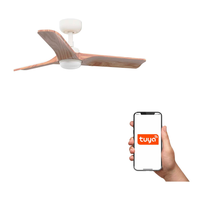 HEYWOOD S LED Ventilateur de plafond blanc/pino TUYA