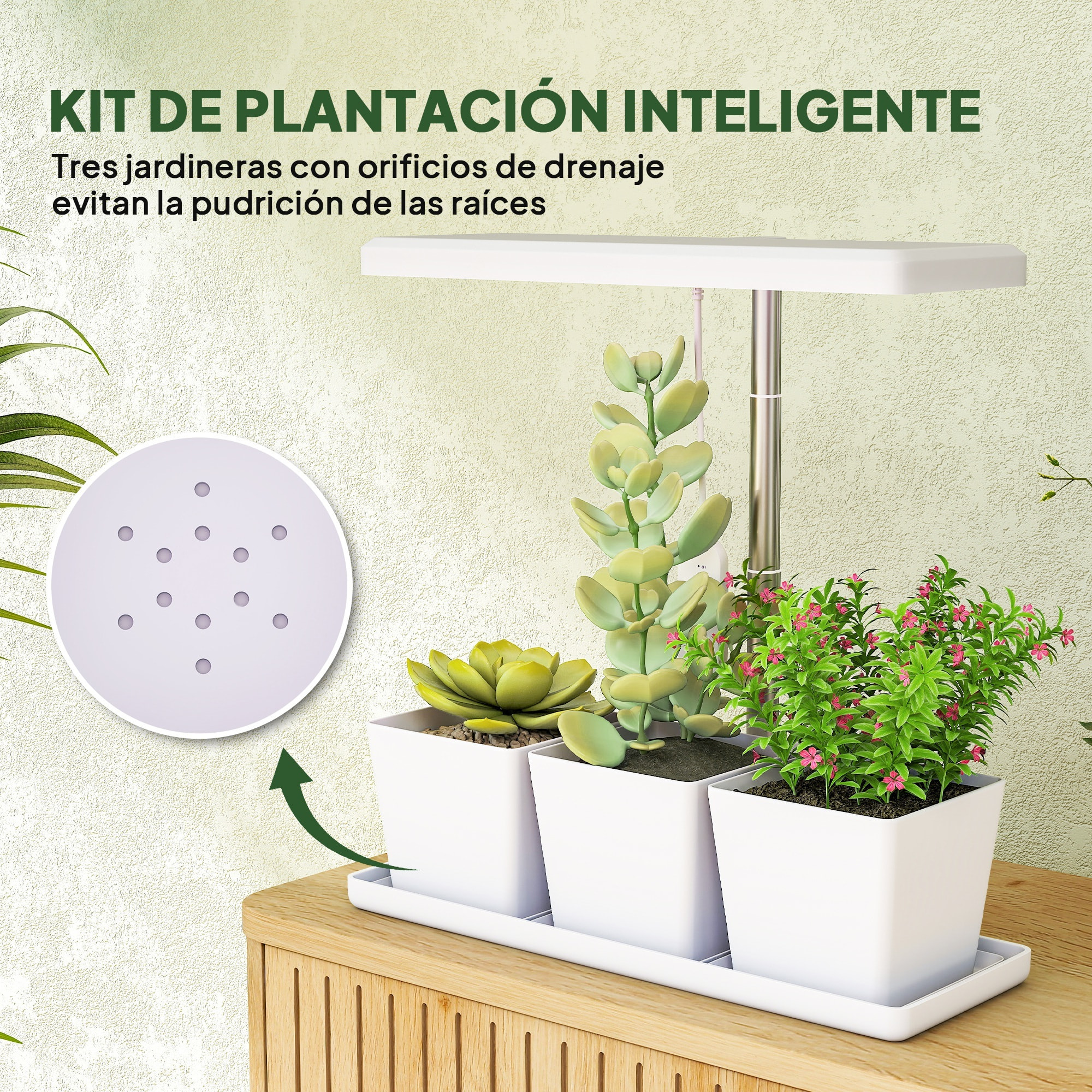 Lámpara de Planta Interior, 30 LED, Luz de Crecimiento de Espectro Completo, Ajustable en Altura con Temporizador Automático 8/12/16/24H, 5 de Brillo y 3 Cajas para Invernadero, Jardín