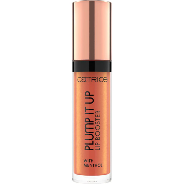Plump It Up Lip Booster - Gloss Effet Repulpant Fini Ultra-brillant