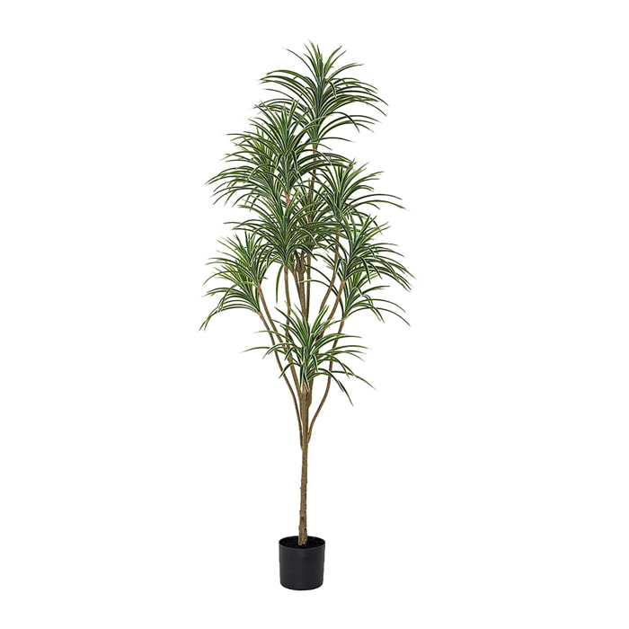 Dracena real touch con vaso - Pezzi 1 - Colore: Verde - 95xH210x85cm - Bianchi Dino