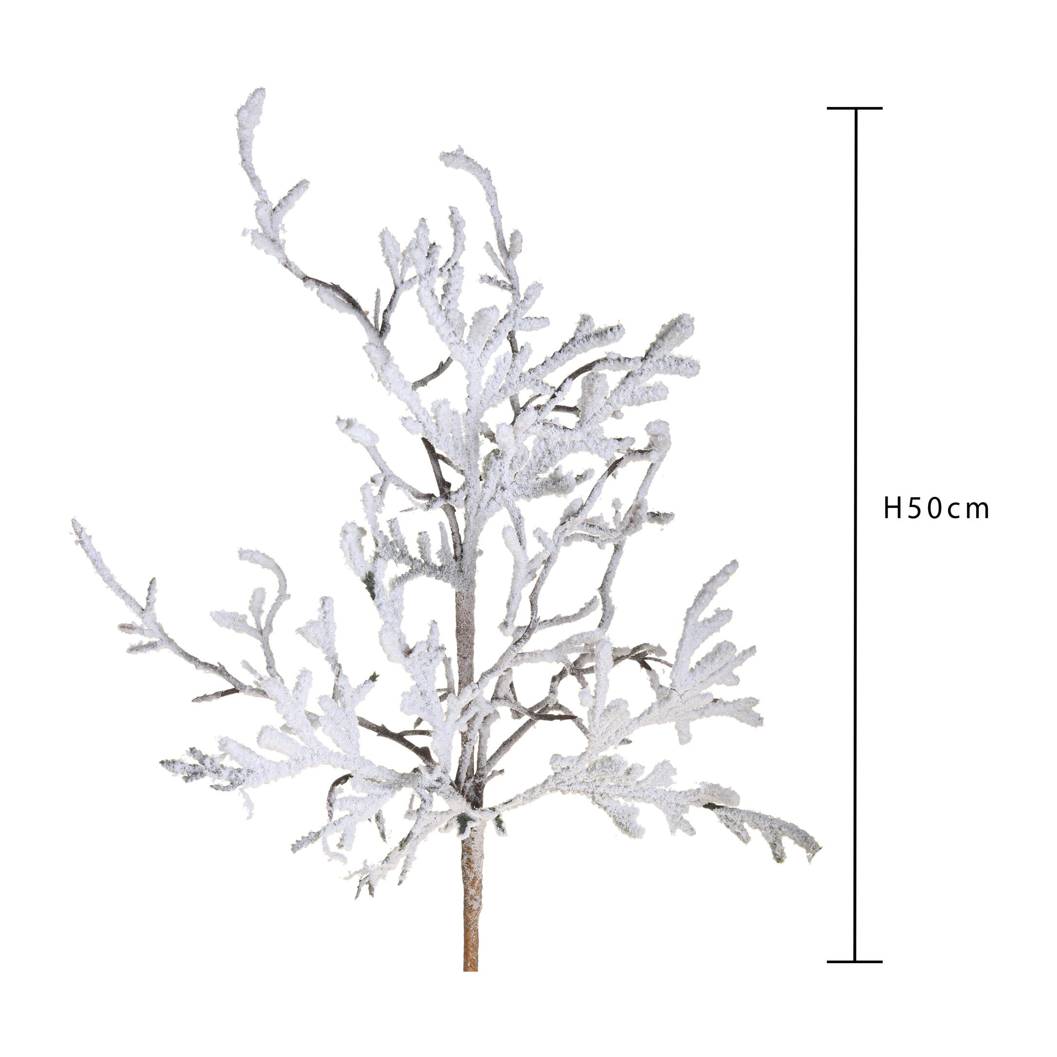 Ramo - Pezzi 12 - 12xH50x8cm - Bianchi Dino SpA