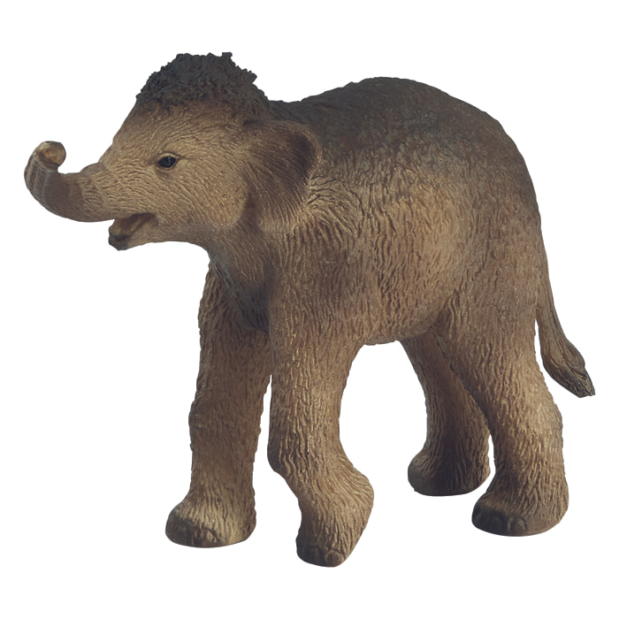 Dinosauri/Cucciolo di Mammut
