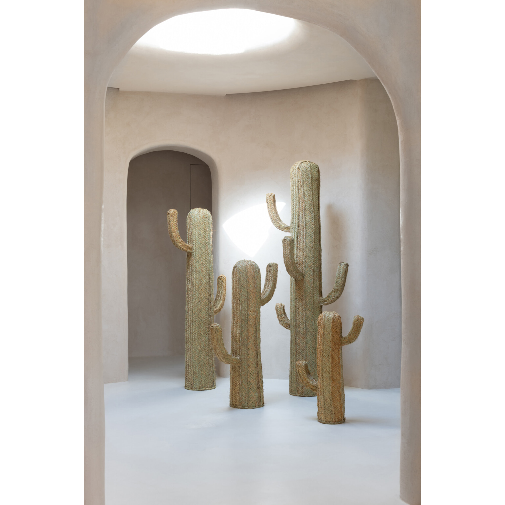 J-Line Cactus décoratif - roseau - naturel - small