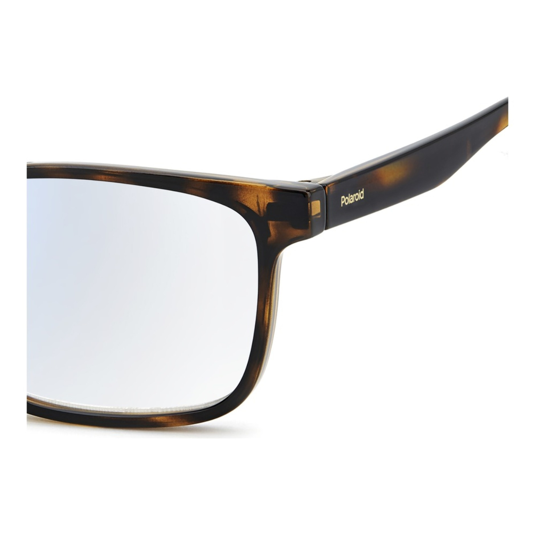 Gafas Pregraduadas Polaroid PLD 0038/R/BB 086 55 +2.00 Unisex 55 mm
