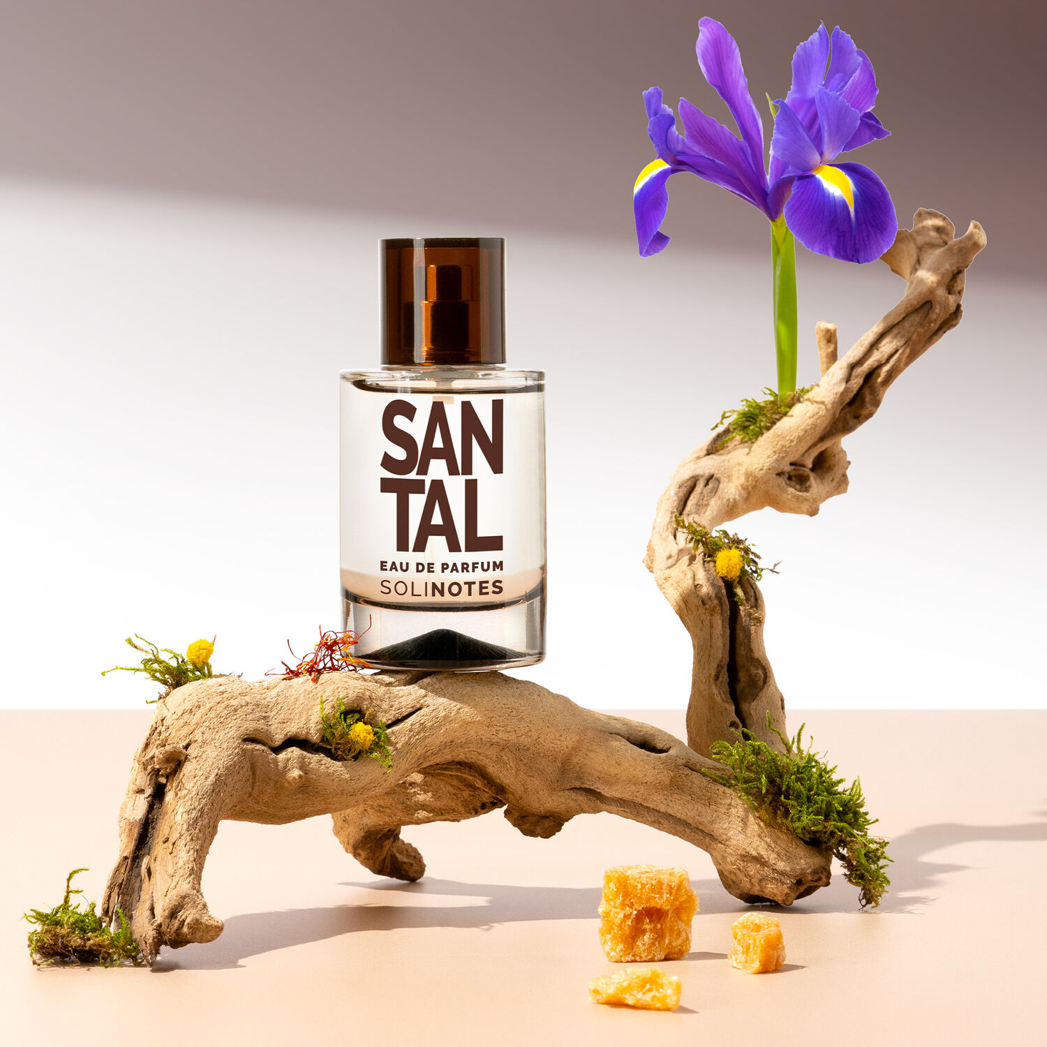 Santal - Eau de parfum
