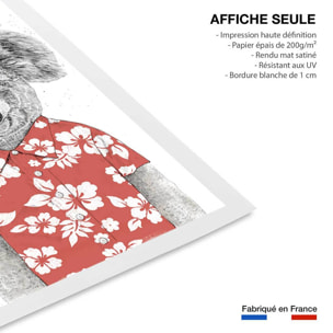 Affiche enfant koala  Affiche seule