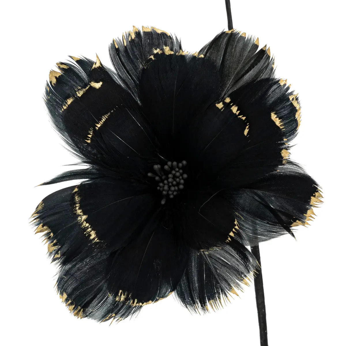 Branche plume noir H65