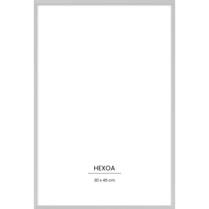 Cadre métal argenté 30x45cm cadre seul