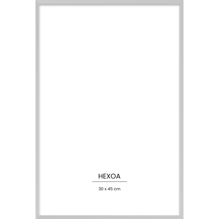 Cadre métal argenté 30x45cm cadre seul