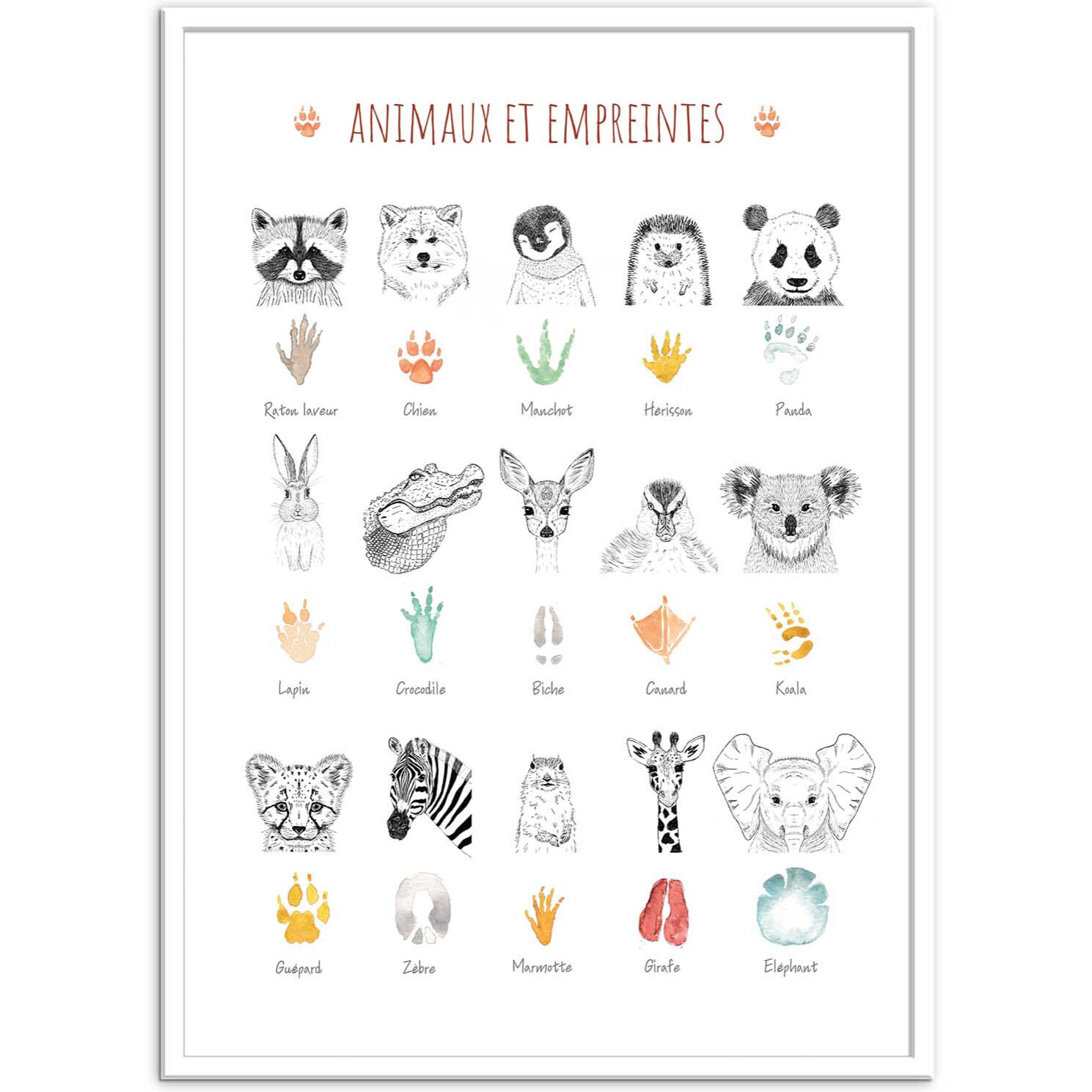 Affiche - Animaux et empreintes - Les loulous