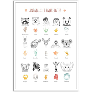 Affiche - Animaux et empreintes - Les loulous