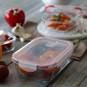 Lot de 10 boîtes hermétiques en verre CLEMENTINE