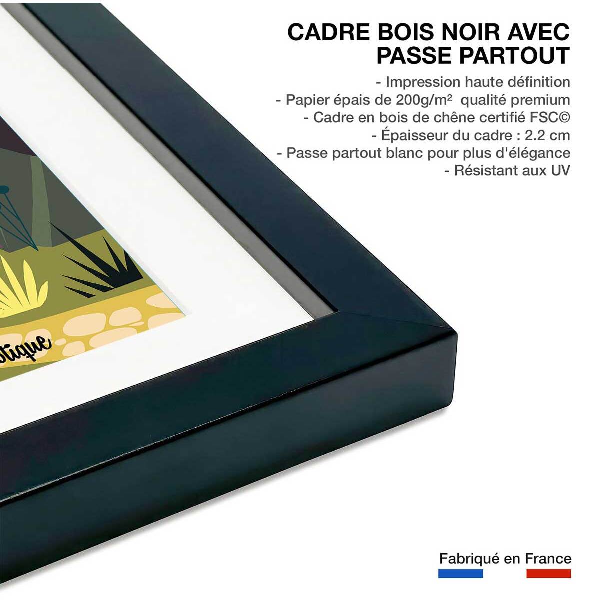 Poster de jardin exotique d' eze Affiche sous cadre noir