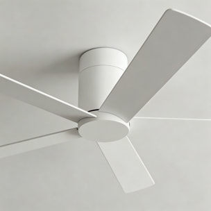 Forlight Ventilador IP20 Rodas Blanco brillante Blanco