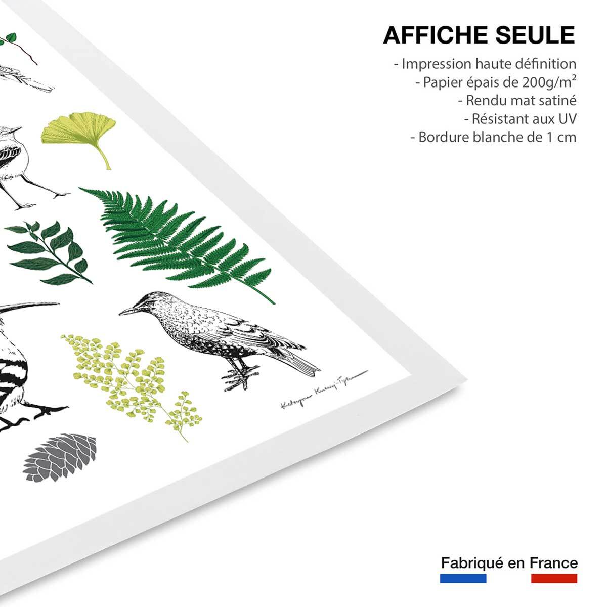 Affiche enfant tableau de la nature Affiche seule