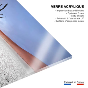 Tableau de Namibie, Le deadvlei Tableau plexiglas