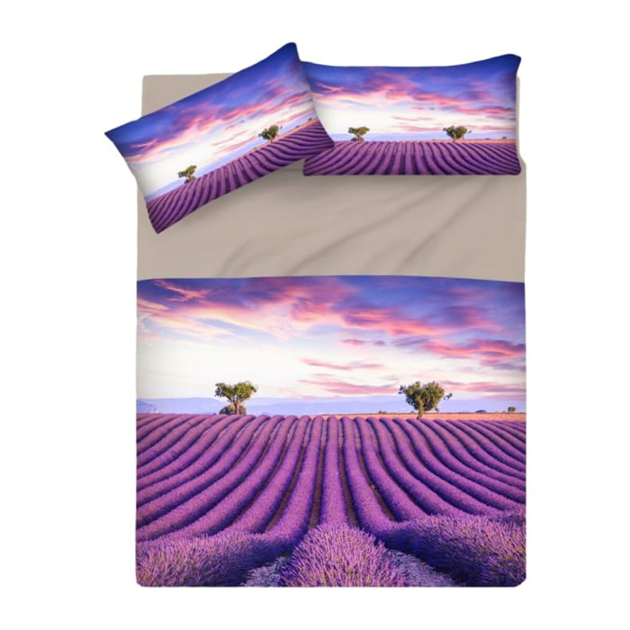 INTRECCI Set Lenzuola Matrimoniali in Cotone, Stampa Alta Qualità, Lenzuolo Sotto + Lenzuolo Sopra + 2 Federe, Comfort, Morbidezza, per Pelli Sensibili, non Stringe in Lavatrice. Fantasia: Provence