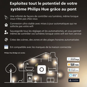 Ampoule LED connectée PHILIPS HUE E14 White Flamme