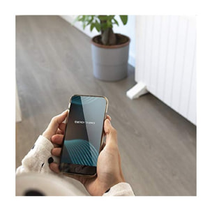 Cecotec Émetteur Thermique Ready Warm 2500 Thermal Connected