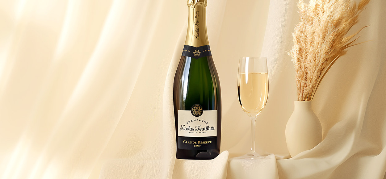 TERROIRS ET VIGNERONS DE CHAMPAGNE FEUIL à bas prix chez VEEPEE