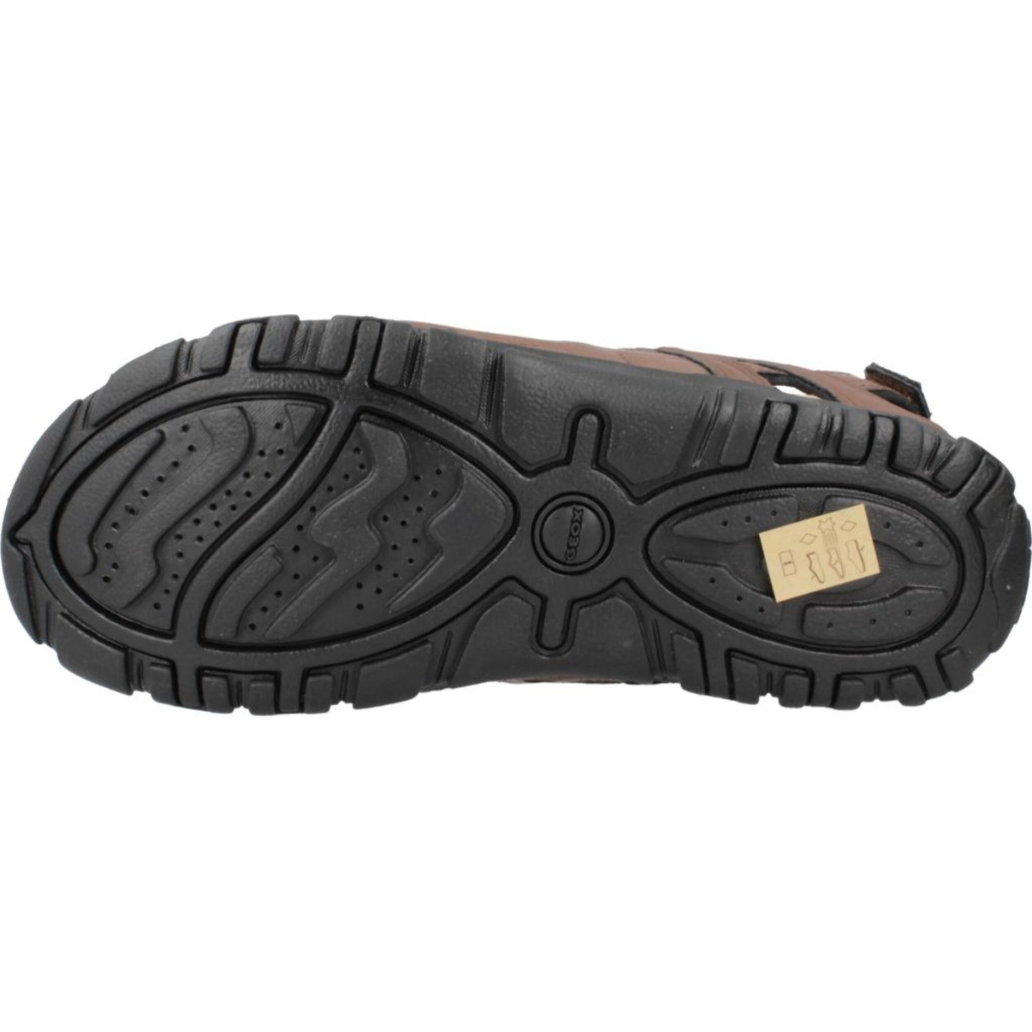 Sandalias Hombre de la marca GEOX  modelo U S STRADA C MARRON