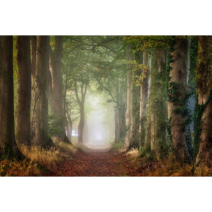 Tableau paysage sur le chemin Tableau plexiglas