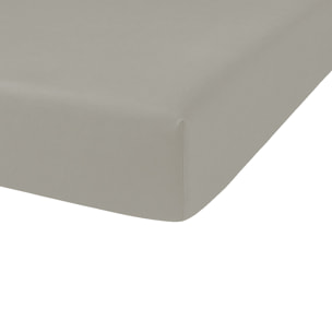 Drap housse - bonnet:23cm mastic