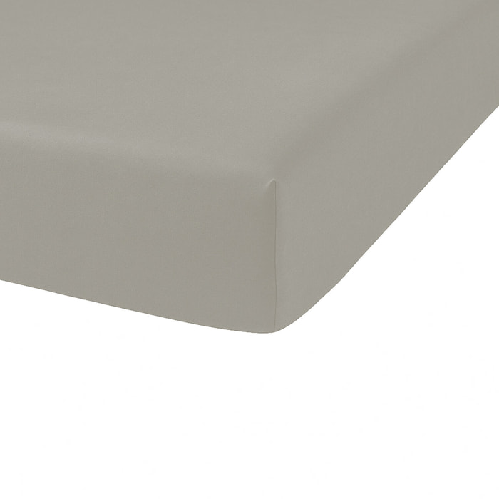 Drap housse - bonnet:23cm mastic