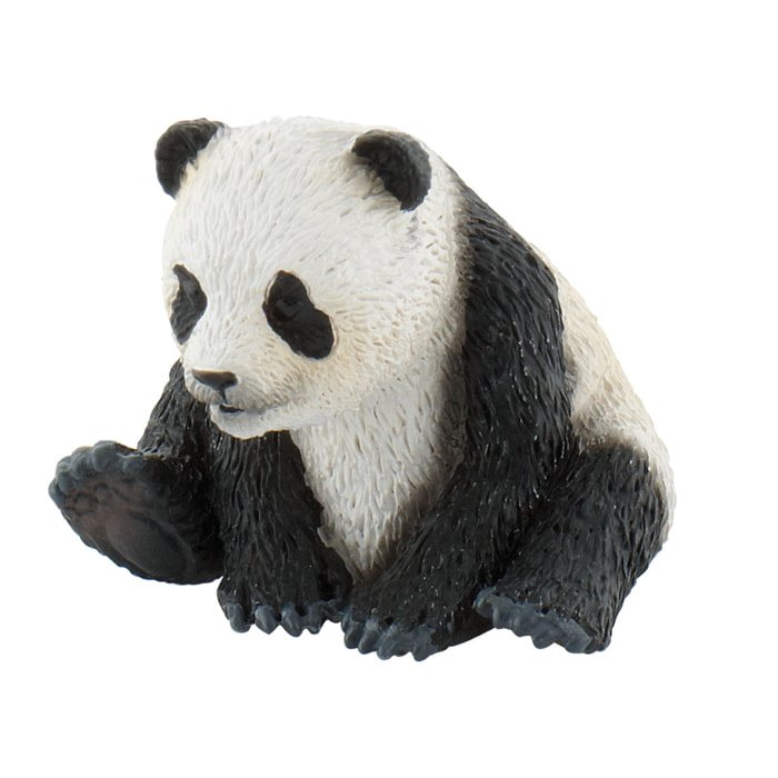 Safari/Piccolo di panda