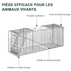 Piège de capture pliable pour petits animaux type lapin rat - 2 portes, poignée - dim. 81L x 26l x 34H cm - acier