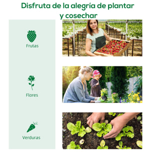 Invernadero de Túnel 400x200x205 cm Invernadero de Jardín con Puerta Enrollable y 6 Ventanas Cubierta PE 140 g/m² Marco de Metal para Cultivo Plantas Verduras Verde